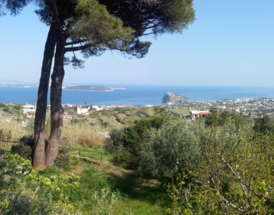 Gli utenti che hanno visto Il Faro hanno visto anche